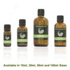Rosemary 100% Pure Essential Aromatherapy Oil 10ml