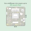 Partial Shade Wildflower Seed Mix, Covers 325 Sq Ft, 11