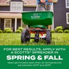 Scotts Turf Builder Thick'R Lawn Tall Fescue Mix - Combination