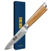 HOSHANHO Damascus Paring Knife 3.75 Inch, Professional 67 Layers Damascus