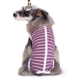 Dog Surgical Recovery Suit, Spay Recovery Suit for Dogs Cats, Post Surgery Dog Onesie for Male Female, Soft Comfortable & Breathable (Purple Stripe-M)