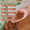 Riare 10pcs Organic Coco Coir Bricks Soil Blocks- 100% Natural