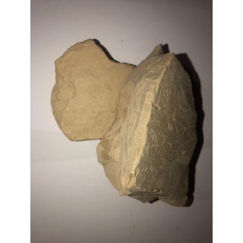 Turkestan Tiles Clay 200 GMS
