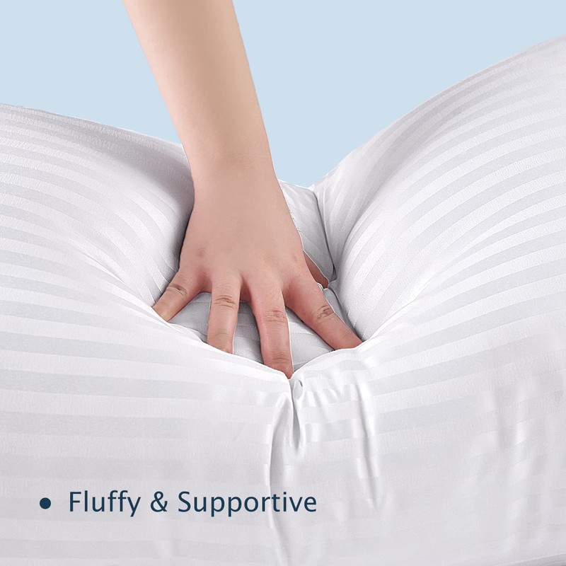 TECHTIC 2 Pack Queen Size Bed Pillows for Sleeping 20