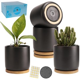 TAMAYKIM 4 Inch Ceramic Plant Pots with Drainage Holes, Adorable Flower Planter Pot with Tray for Indoor Plants, Succulent, Snake Plants, Cactus & Herbs, Black, Set of 4 (Plant Not Included)