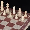 3 In 1 Wooden Chess Checkers Backgammon Set Portable Wooden