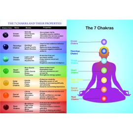 Wonder Care - Chakra Bracelets Buddha Genuine Rudraksha Beads Bracelet Lava Bracelets Rudraksha Bracelet (2 per pack), Gemstone