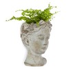 Abbott Collection Goddess Head Wall Planter - Small Cement Indoor