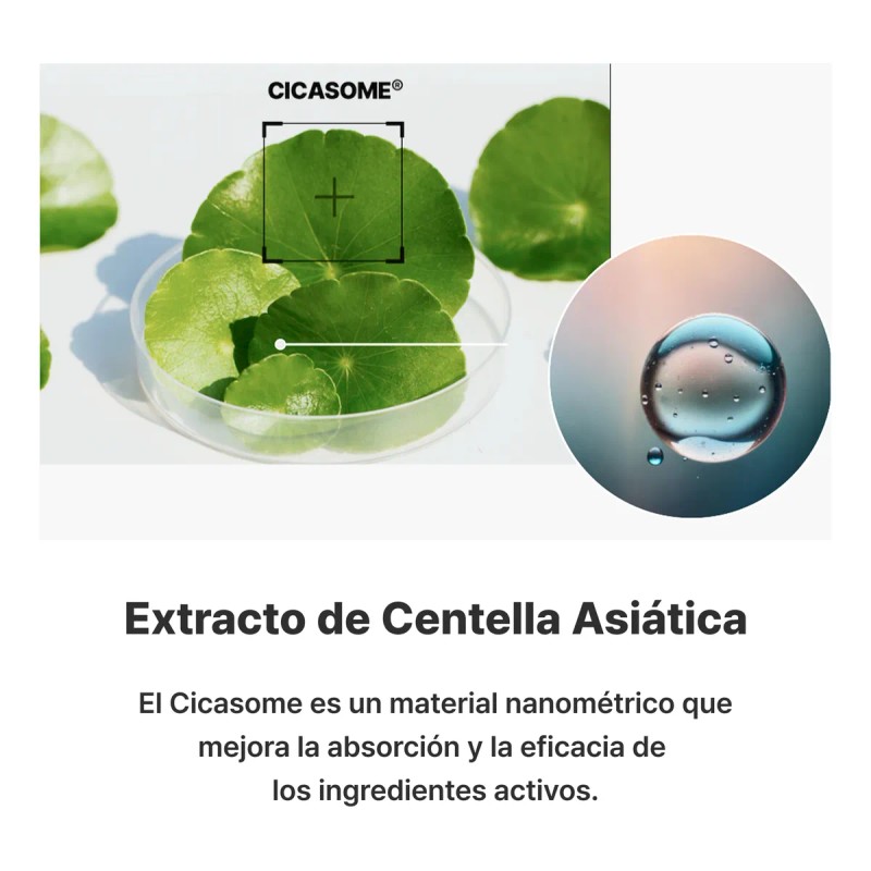 Thenewgrey Ginseng Exosome Facial Cream 60ml K-beauty