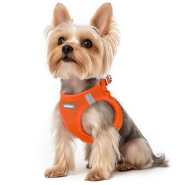 rabbitgoo Small Dog Harness, Step-in Soft Mesh Puppy Vest, Easy Walk with Safety Buckle, Breathable Reflective Pet Harness for Small Sized Dogs, Orange XS