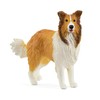 schleich 13998 Collie, from 3 years FARM WORLD - Figurine,