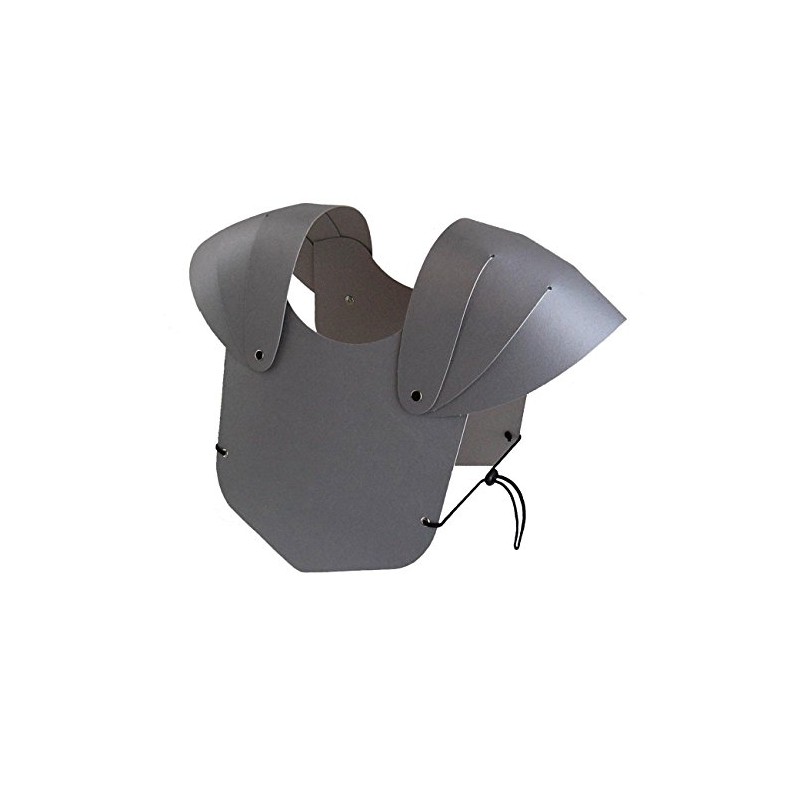 BestSaller Chest Armour for Children, Sturdy Box, Ready Assembled, Colour: