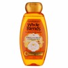 Garnier Whole Blends Illuminating Shampoo - With Moroccan Argan &