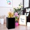 BLITZ SAT-USA Black Acrylic Pen Holder (2 PCS) - Pen