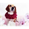 Collar para perro estilo lei modelo gerberas