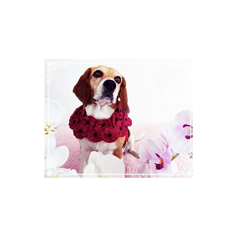 Collar para perro estilo lei modelo gerberas