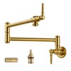 Pot Filler Faucet, Wall Mount Pot Filler Kitchen Faucet (Gold)
