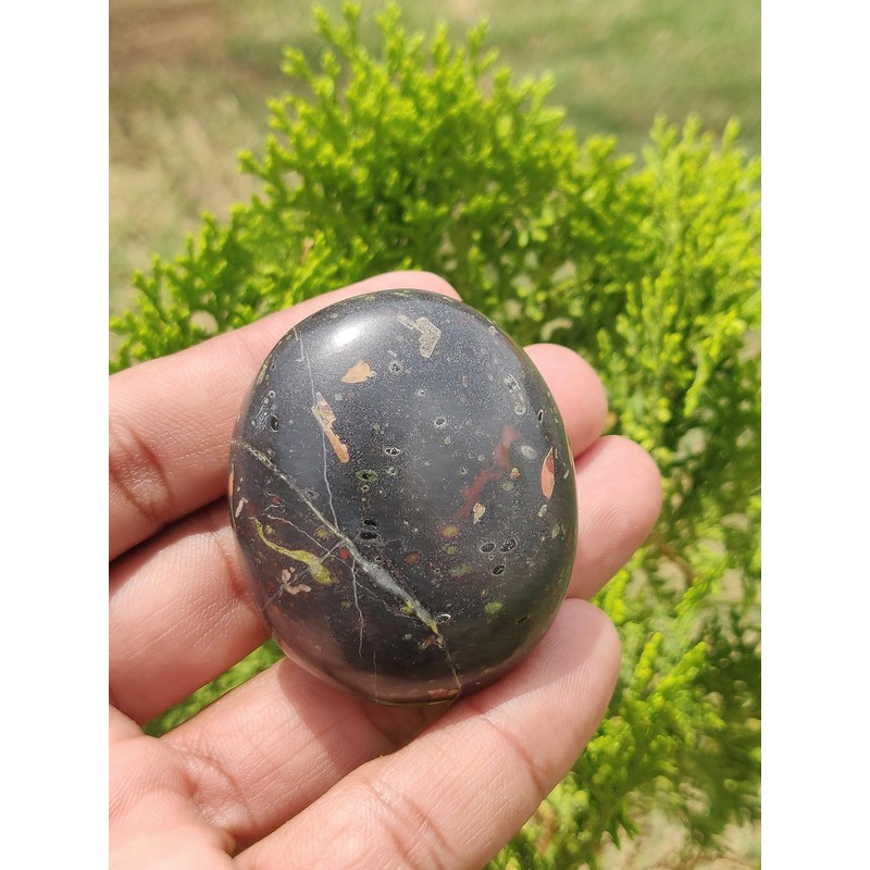 Stone City Unique Plum Blossom Jasper Palmstone Crystal, Healing Stone,