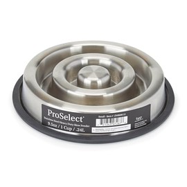 ProSelect Stainless Steel Heavy Duty Slow Feeder Small