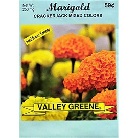 Set of 50 Marigold - Crackerjack Mixed Colors Annual Flower Seed Packets - Perfect for Creating Your Dream Garden! - Includes 50 Packets of Marigold - Crackerjack Mixed Colors Seeds!
