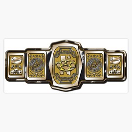 Texas Brass Knuckles Championship (MOH) Bumper Sticker Vinyl Decal 5"