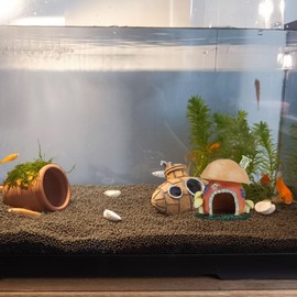 WishLotus Small Fish Tank Decorations, Colorful Rein Fish Tank Hideout Mushroom Houses Cute Aquarium Caves and Hides for Fish Shrimp Betta Reptiles (A)