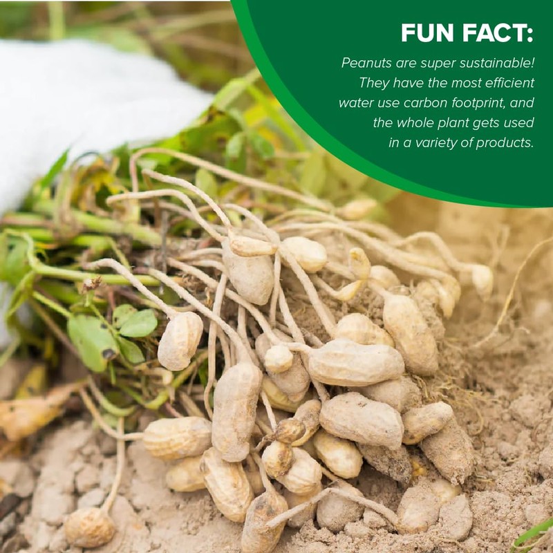 Hampton Farms - USA Grown All-Natural - Fancy Roasted In-Shell