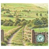 Yorkshire Tea Hard Water Tea Bags, 160 Tea Bags