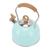 2.5L Whistling Tea Kettle with Handle Stainless Steel Portable Stovetop