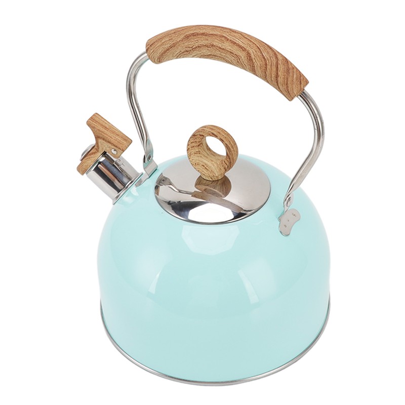 2.5L Whistling Tea Kettle with Handle Stainless Steel Portable Stovetop