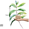 NEEM ERFRE Pack de 3 jabon natural de avena y