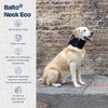 Balto Neck Eco Soft Recovery Collar for Dogs – E-Collar