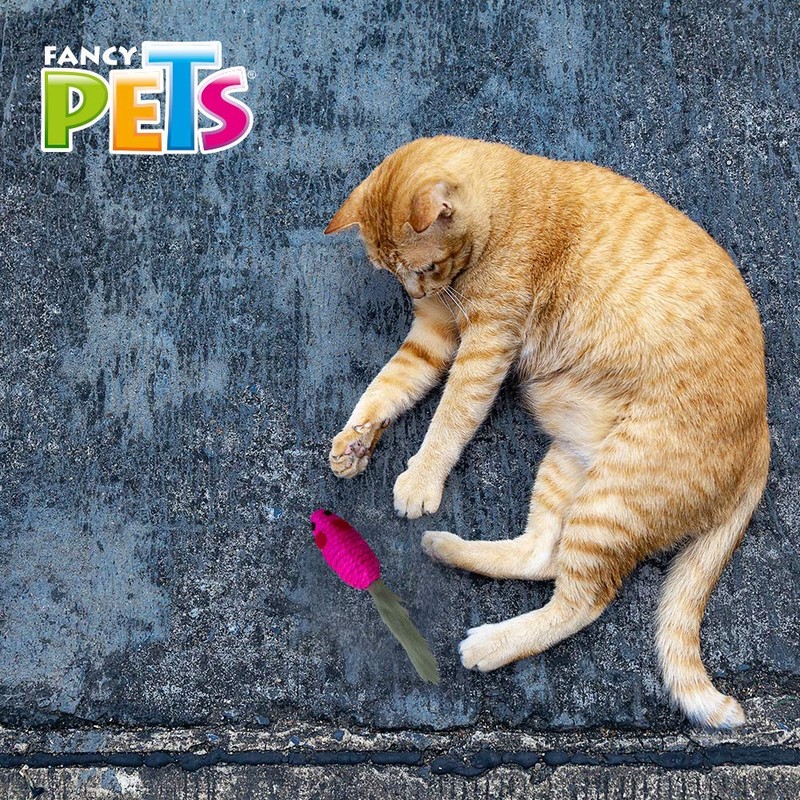 Fancy Pets Juguete Ratón con Cola de Peluche para Gato