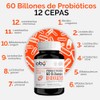 Probioticos 60 Billones de 12 Cepas + Prebioticos con Inulina