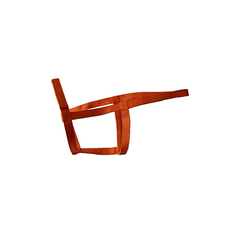 Rhinegold Field Safe Headcollar-Full-Tangerine