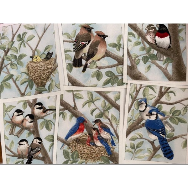 IronOns.US 3 Large Beautiful Bird Patches- Iron On fabric appliques