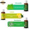 Precious Aromas Essential Oil Lavender Rose Tea Tree Rosemary Jasmine