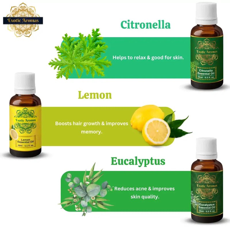 Precious Aromas Essential Oil Lavender Rose Tea Tree Rosemary Jasmine