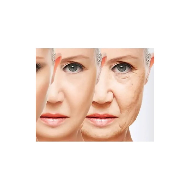 Pro-gest-emerita-4 Onzas Crema Progest-cuidado Personal-cara