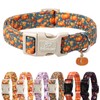 Babole Pet Fall Dog Collar Cute Autumn Pumpkin Puppy Collar
