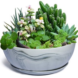 G EPGardening 10Inch Large Planter Marble Pattern Ceramic Succulent Planter Big Plant Pot Succulents Container Flower Pot Indoor Outdoor Decor (Plants Not Included)