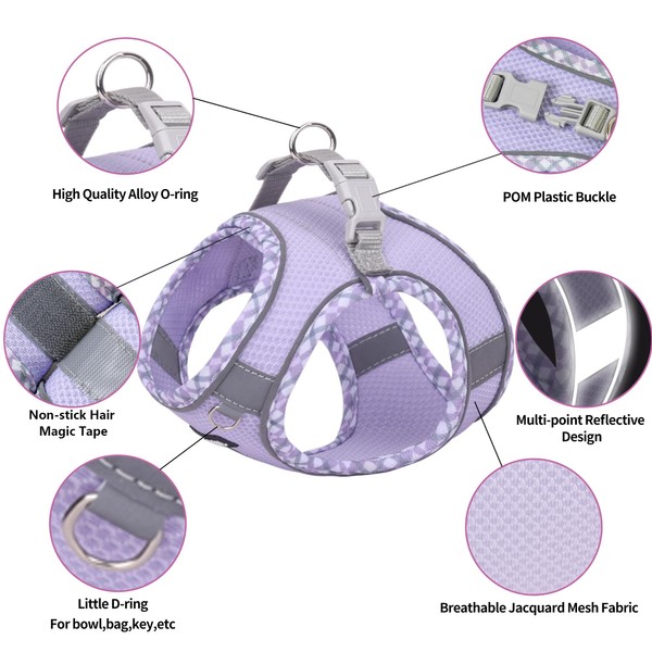 Aiitle AIITLE Durable Dog Harness and Leash Set for Walking,