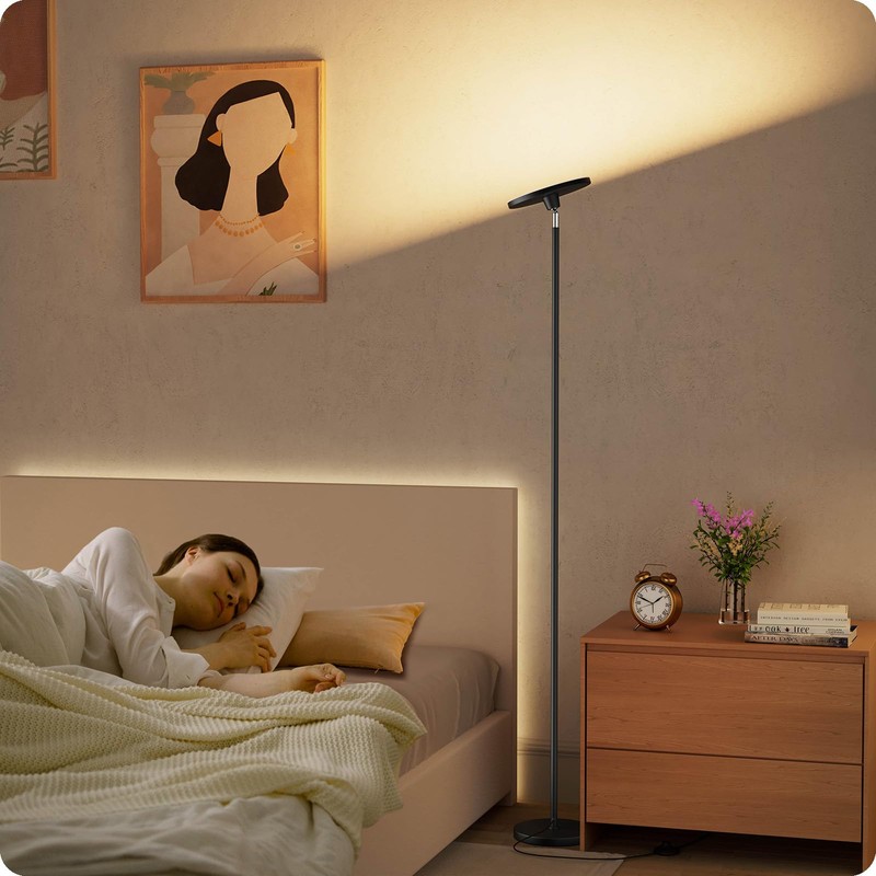Dimmable Floor Lamp with Remote，Floor Lamps for Living Room Bedroom
