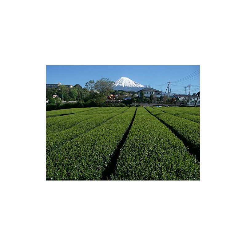 Shizuoka Green Tea No Daisan Rich Matcha Brown Rice Tea