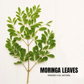 HerbenSpice Moringa Leaf Dried, Organic, Pure.  1/2 lb  Organic Vitamin C Super Plant