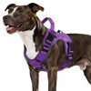 WINGOIN Purple Tactical Dog Harness for Medium Dogs, Heavy Duty
