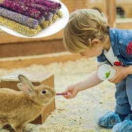 BAOSROY Timothy Hay Sticks, 18 Pieces Rabbit Toy, Hay Sticks Rabbit, Chew Toy for Rabbits, Guinea Pigs, Chinchillas Toy, Chew Toy, for Bunny Hamster Molar Accessories