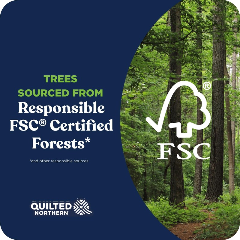 Quilted Northern Ultra Soft & Strong Toilet Paper, 6 Mega