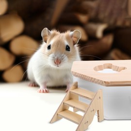 VANZACK Hamster Sand Bath Container with Ladder, Transparent Sand Bath Shower Room & Digging Sand Container for Dwarf Hamster, Gerbil, Small Animals