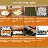 nanaxagly 1 Pack Bamboo Sushi Rolling Mat, 9.5" x 9.5",
